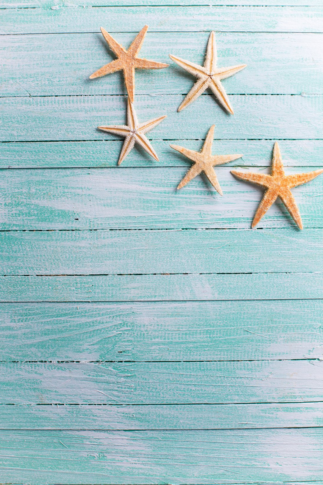 Marine items on wooden background.